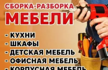 Снос стен, вывоз мусора, небольшие строительные работы