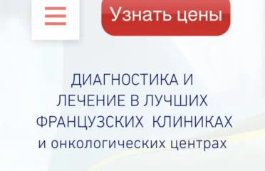 Организация лечения во Франции