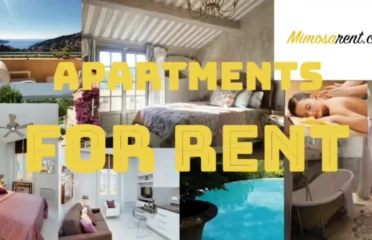 Mimosarent – аренда апартаментов и яхт на Лазурном берегу. Экскурсии.