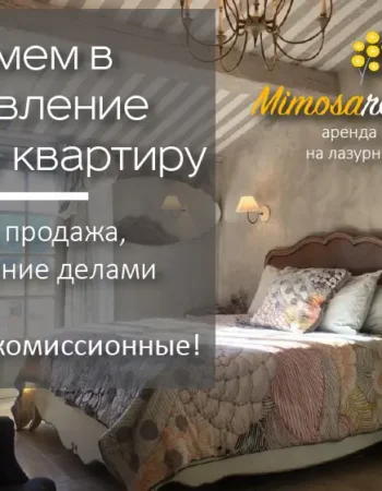 Mimosarent – аренда апартаментов и яхт на Лазурном берегу. Экскурсии.