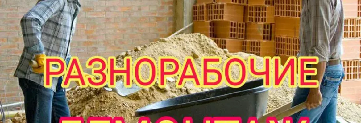 Разнорабочий, Вывоз мусора, Демонтаж