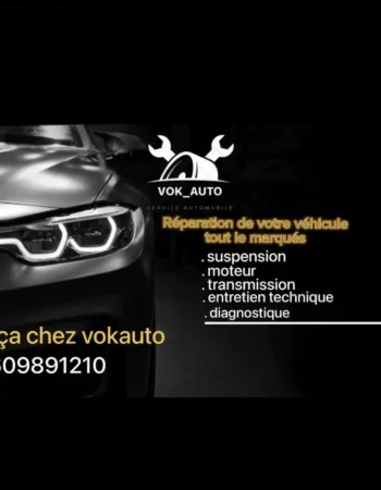 Автосервис любой сложности AutoVok,Paris