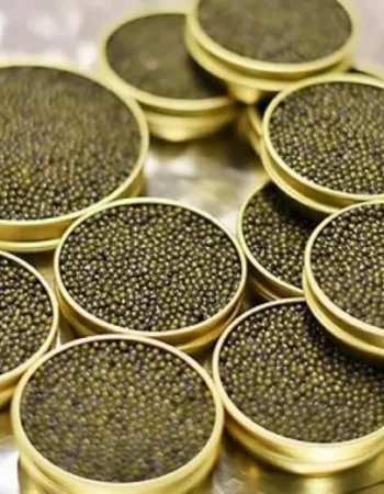 Оптово-розничная продажа черной/красной икры и морепродуктов. Доставка по всей Франции.