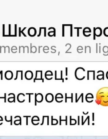 Нескучные уроки французского языка с нуля с Ренуаром и Ириной Кудесовой