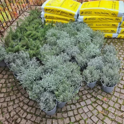 JardinièrPro Côte d’Azur. Комплексные услуги садовников.