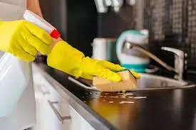 Анна, Уборка и помощь по дому, повар и кухня, официант, уход за детьми, складская работа, Париж