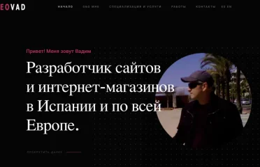 Разработчик сайтов и интернет магазинов SeoVad