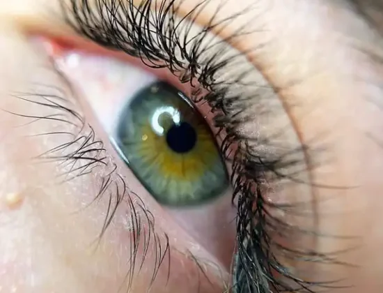 Lash Pearl Studio Paris